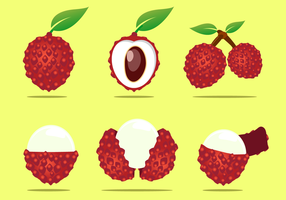 Free Lychee Vector