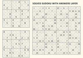 Sudoku Game With Solution 15582377 Vector Art at Vecteezy