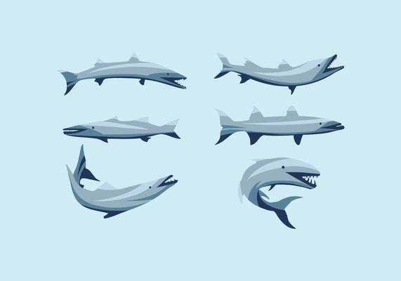 FREE BARRACUDA VECTOR