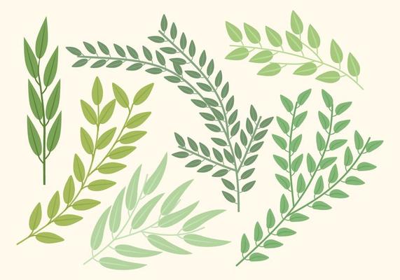 Olive Branch Vector Art, Icons, and Graphics for Free Download