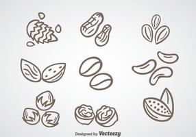 Nuts Collection Vector