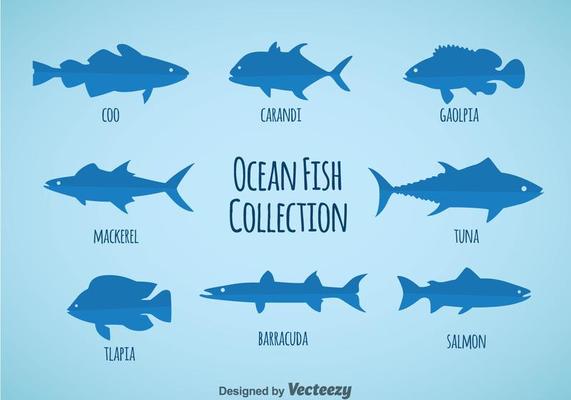 Ocean Fish Collection Vector Download Free Vectors Clipart Graphics Vector Art