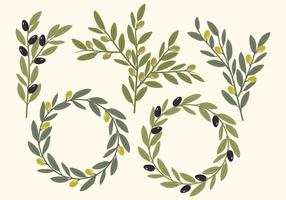 Vector Olive Elements