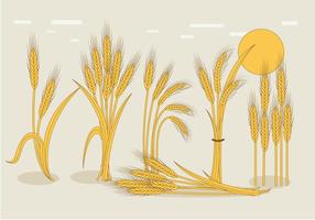 Wheat Stalk Vector