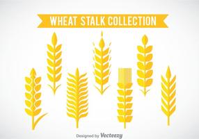 Wheat Stalk Collection Vector