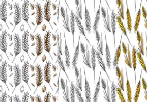 Conjunto de patrones de tallo de trigo vector