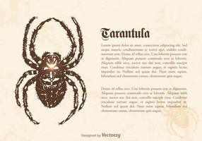 Ilustración Tarantula Gratis vector