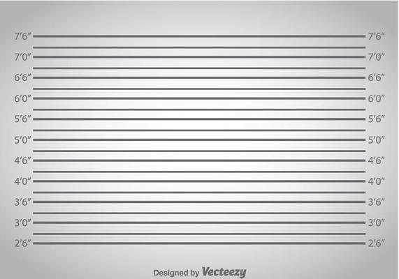 Mugshot Background Vector Art, Icons, and Graphics for Free Download