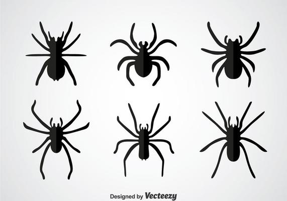 Tarantula Vector