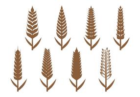 Icono de Orejas de trigo vector