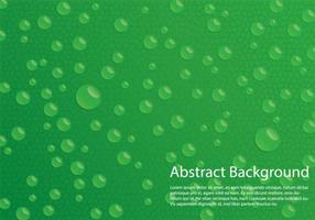 Water Drop Background vector