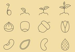 Iconos de línea de semillas vector