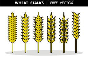 Wheat Stalks Free Vector