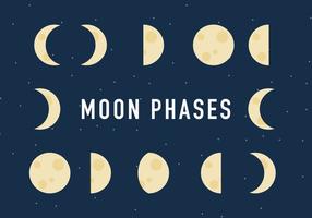 The Moon Phases Process Vector