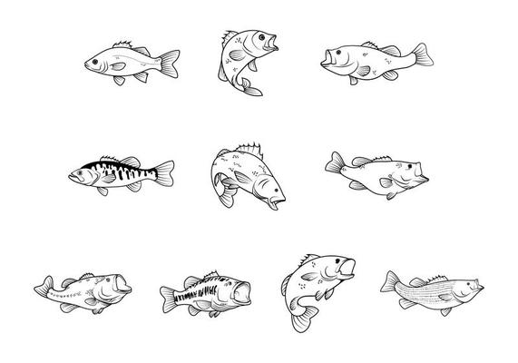 Free Free Bass Fish Svg Free 671 SVG PNG EPS DXF File