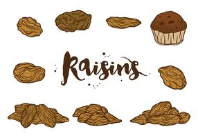 Raisins Vectors