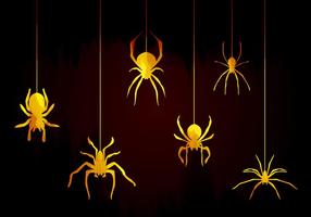 Tarantula Spiders Vector 