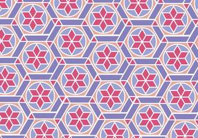 Moroccan Pattern vector