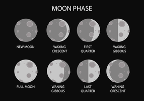 Vector libre de la fase de la luna