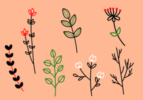 Free Floral Elements Vector
