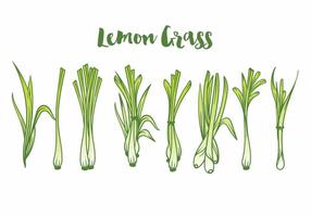 Lemon Grass Icon Set vector