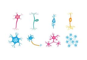 Free Neuron Vector