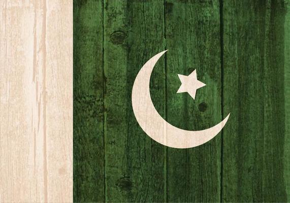 Free Vector Flag Of Pakistan Painted On Wooden Background