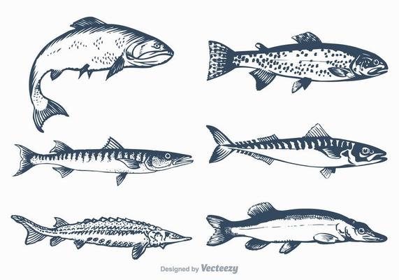 Hand drawn Kids drawing Cartoon Vector illustration fish and fishing rod  icon Isolated on White Background 26733354 Vector Art at Vecteezy