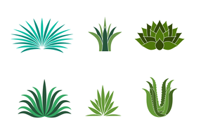 Free Maguey Vector