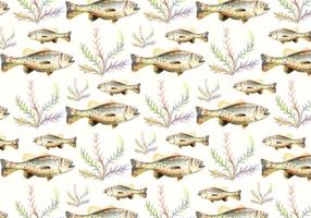 Free Vector Watercolor  Bass Fish Background