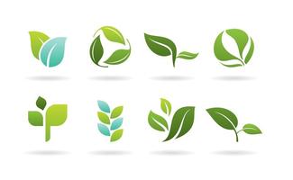 Leaves Logos vector