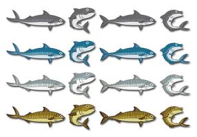 Salt Water Fish Vector Art, Icons, and Graphics for Free Download Salt Water Fish Vector Art, Icons, and Graphics for Free Download