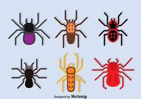 Tarantula Collection vectorial vector