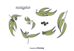 Eucalyptus Vector