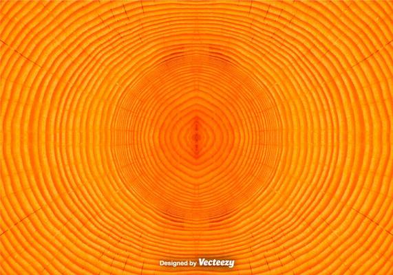 Tree Rings Background  Vector Tree Trunk Background