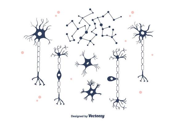 Neuron Vector Art, Icons, and Graphics for Free Download