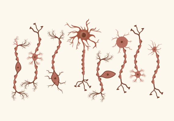 Sensory Organs Vector Art, Icons, and Graphics for Free Download