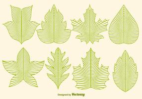 Vector Leaf Icons In Line Style