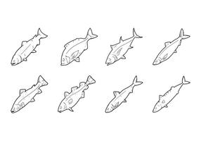 Hand Drawing Consumable Fish Vector