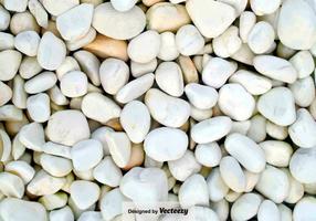 Pebble-Stone Path Close Up - Vector Background