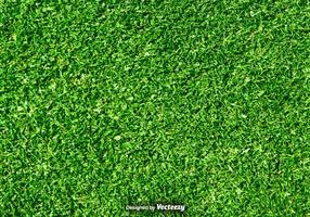 Lawn Nature - Green Grass Vector Background