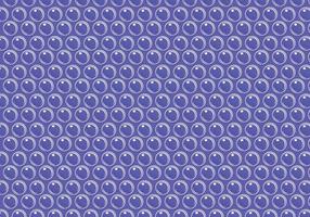 Bubble Wrap Background Vector