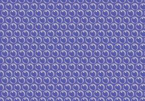 Bubble Wrap Background Vector