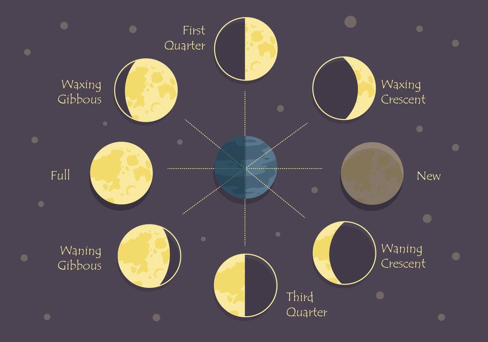 Moon Phase Recognition Vector Art, Icons, and Graphics for Free Download