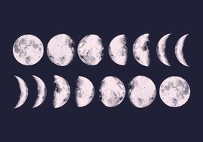 Fases de la Luna del vector