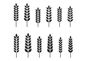 Free Wheat Vector