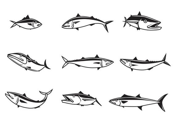 https://static.vecteezy.com/system/resources/thumbnails/000/117/068/small_2x/free-mackerel-vectors.jpg