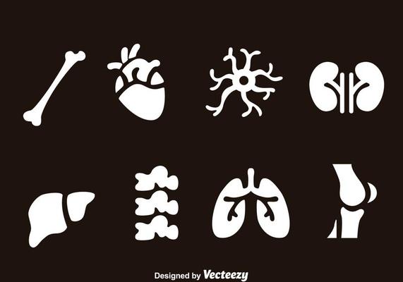 Human Organs Icons