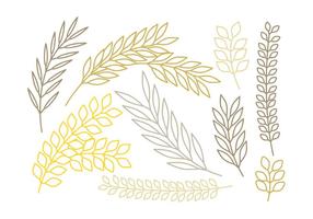 Vector Outlined Branches Set