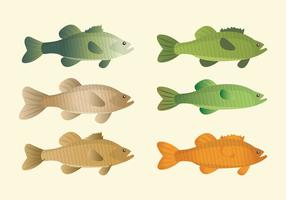 Vector Fishes Collection